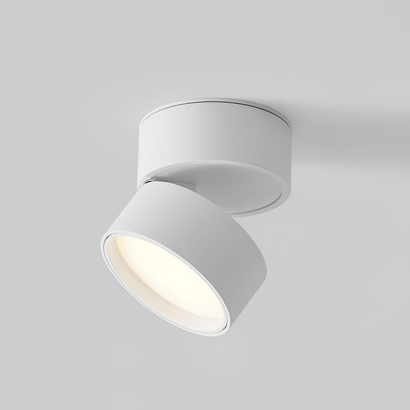 (2 packs) Plafonnier de surface